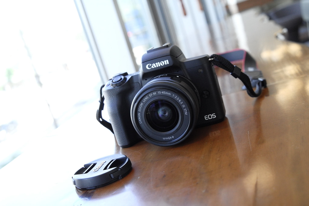A person holding a mirrorless camera with a kit lens, deciding which buttons to press.
