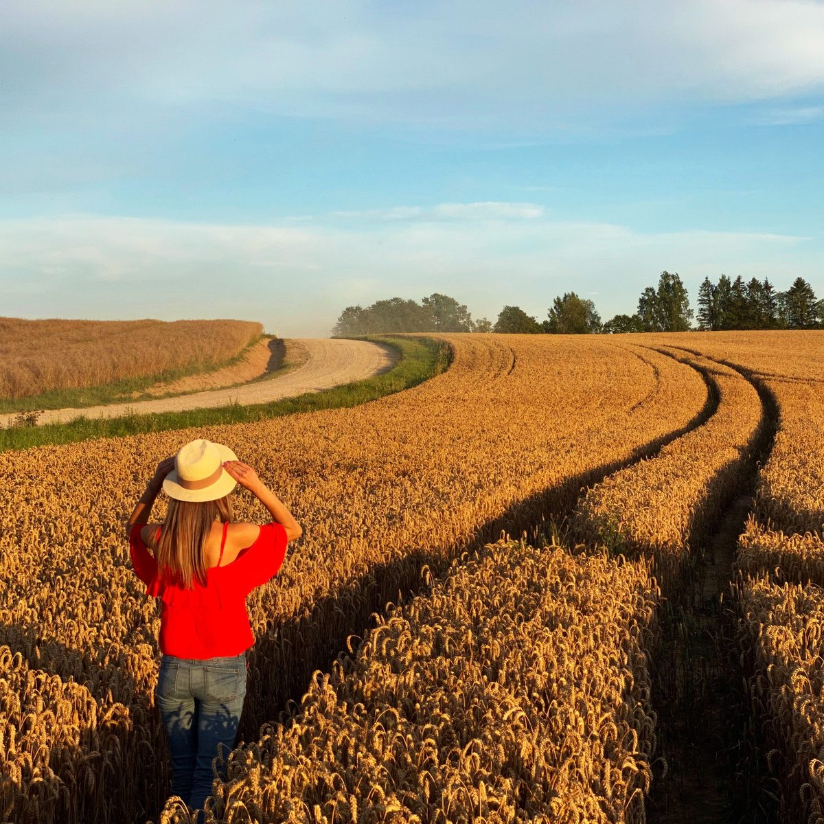 A woman in a straw hat standing in a golden wheat field in low evening sun.