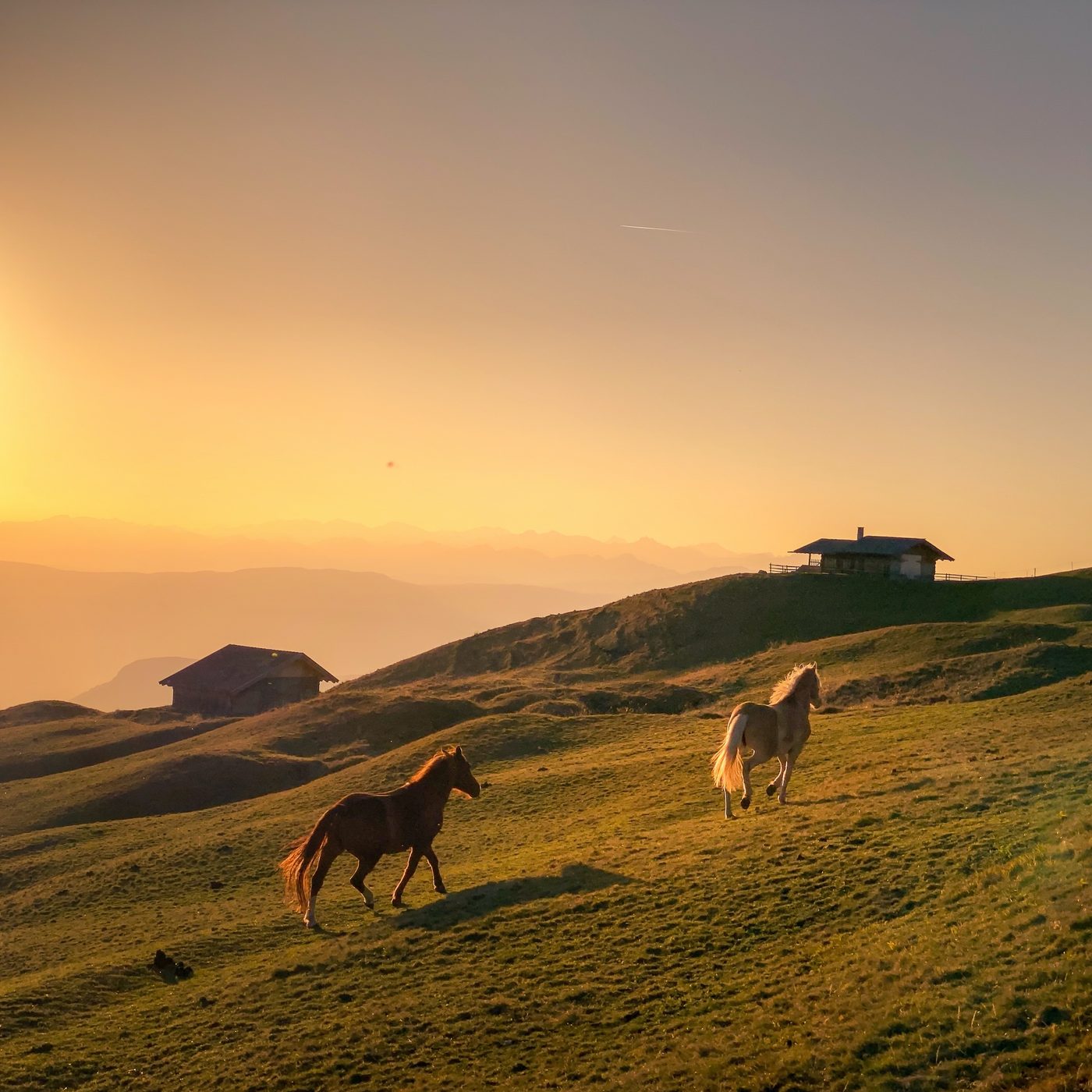 Two horses on an alpine meadow at sunset, with wooden huts and mountains behind them.