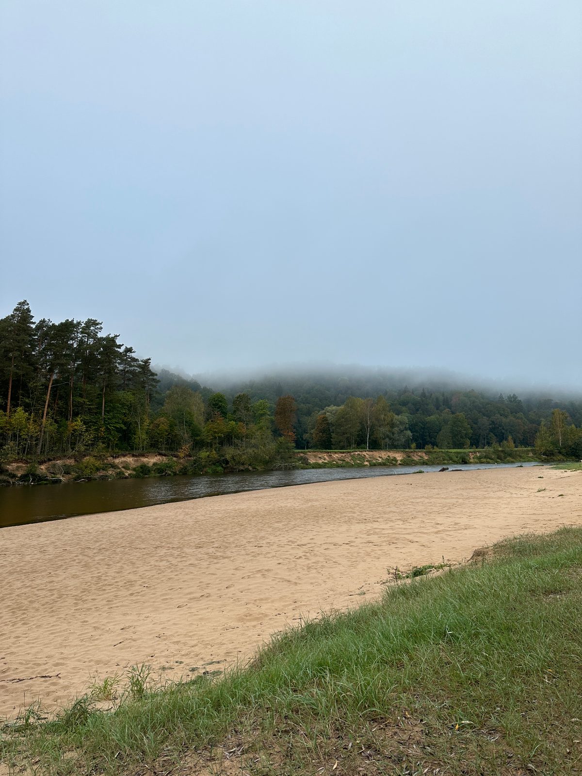 A gray, flat photo of a riverbank on an overcast day.